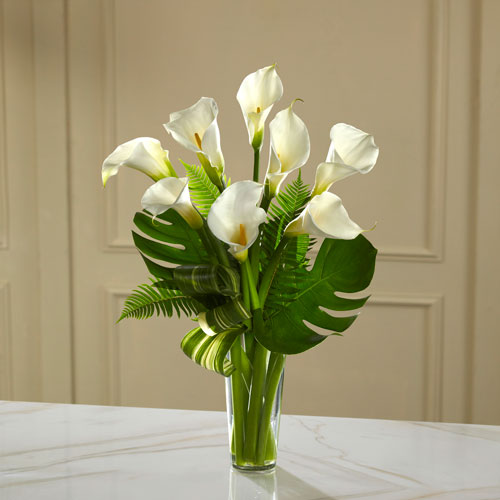 Calla Lilies