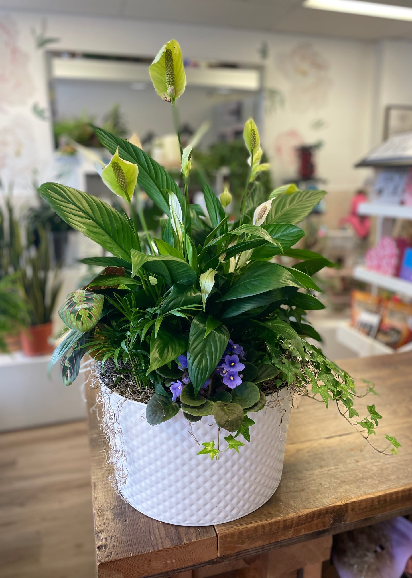 Macetero grande de lirio de la paz