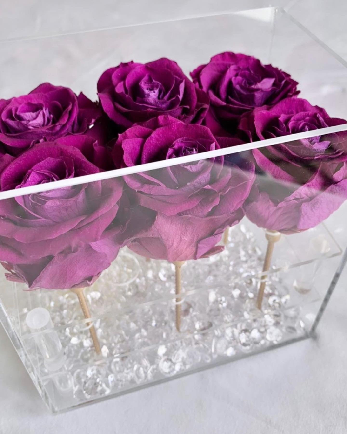 Rosas en conserva