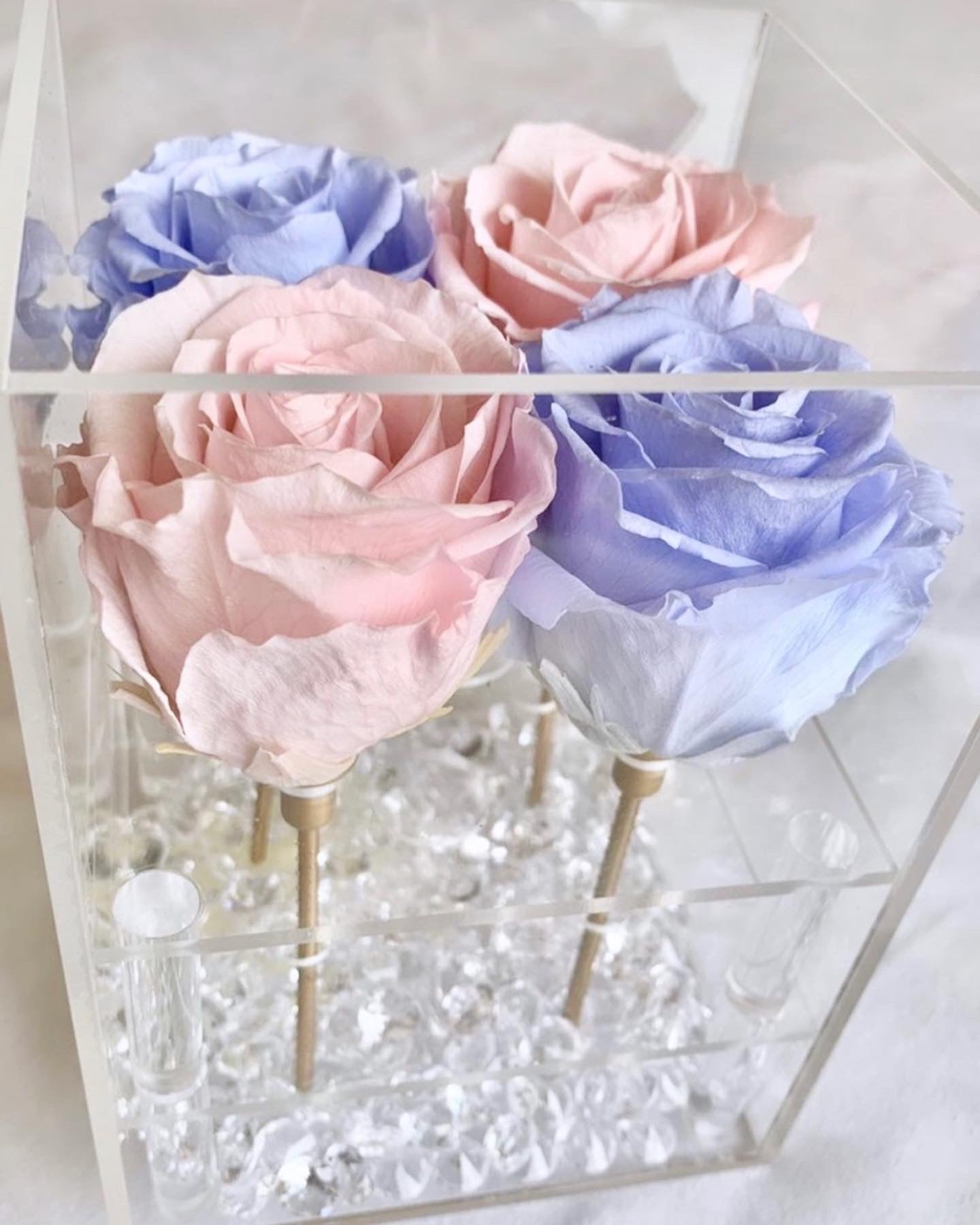 Rosas en conserva