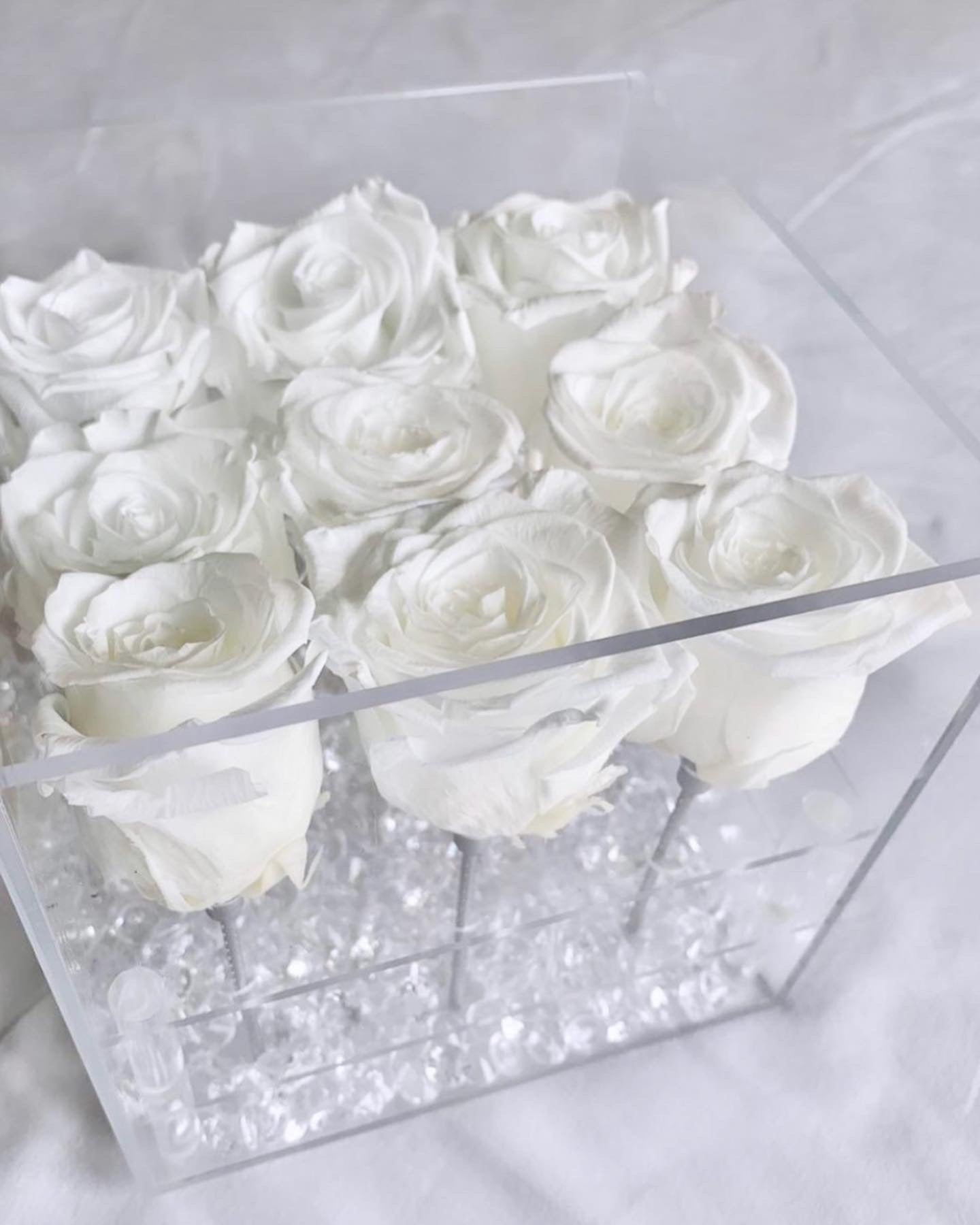 Rosas en conserva