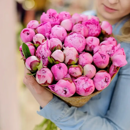 Peonies
