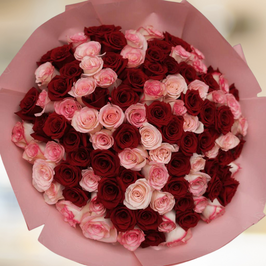 Pink and Red Roses