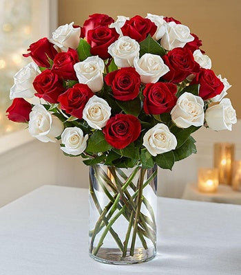 Red and White Roses