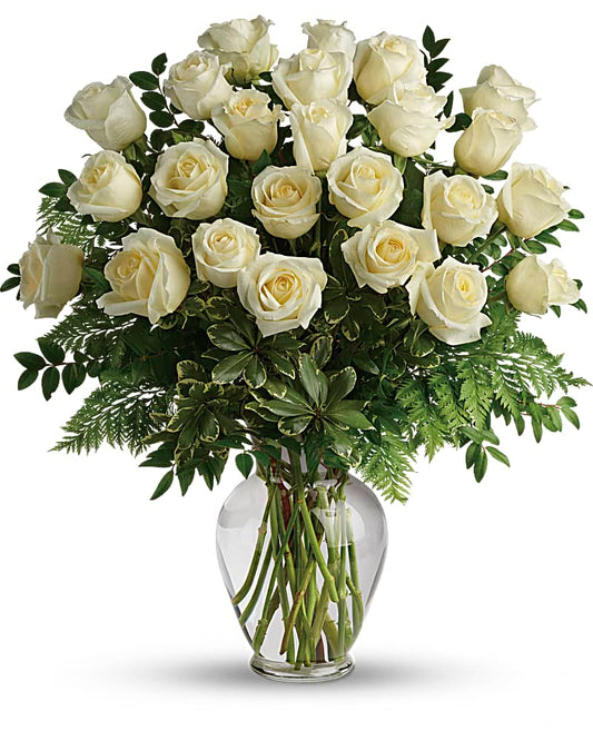 Rosas blancas