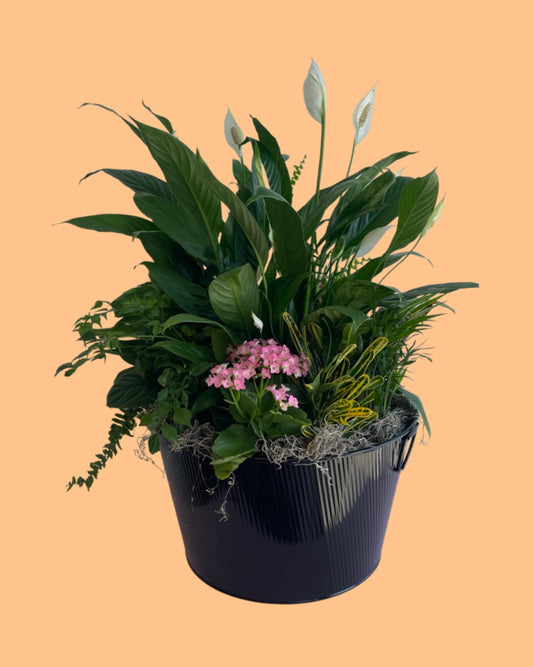 Large Peace Lily Planter